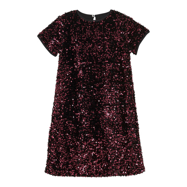 Creamie Velour Sequins Dress